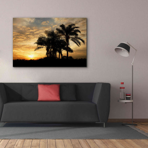 Image of 'Everglades Sunrise' by Mike Jones, Giclee Canvas Wall Art,60 x 40