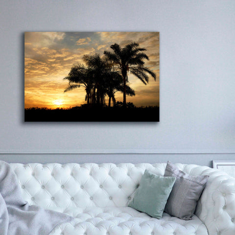 Image of 'Everglades Sunrise' by Mike Jones, Giclee Canvas Wall Art,60 x 40