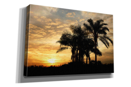'Everglades Sunrise' by Mike Jones, Giclee Canvas Wall Art