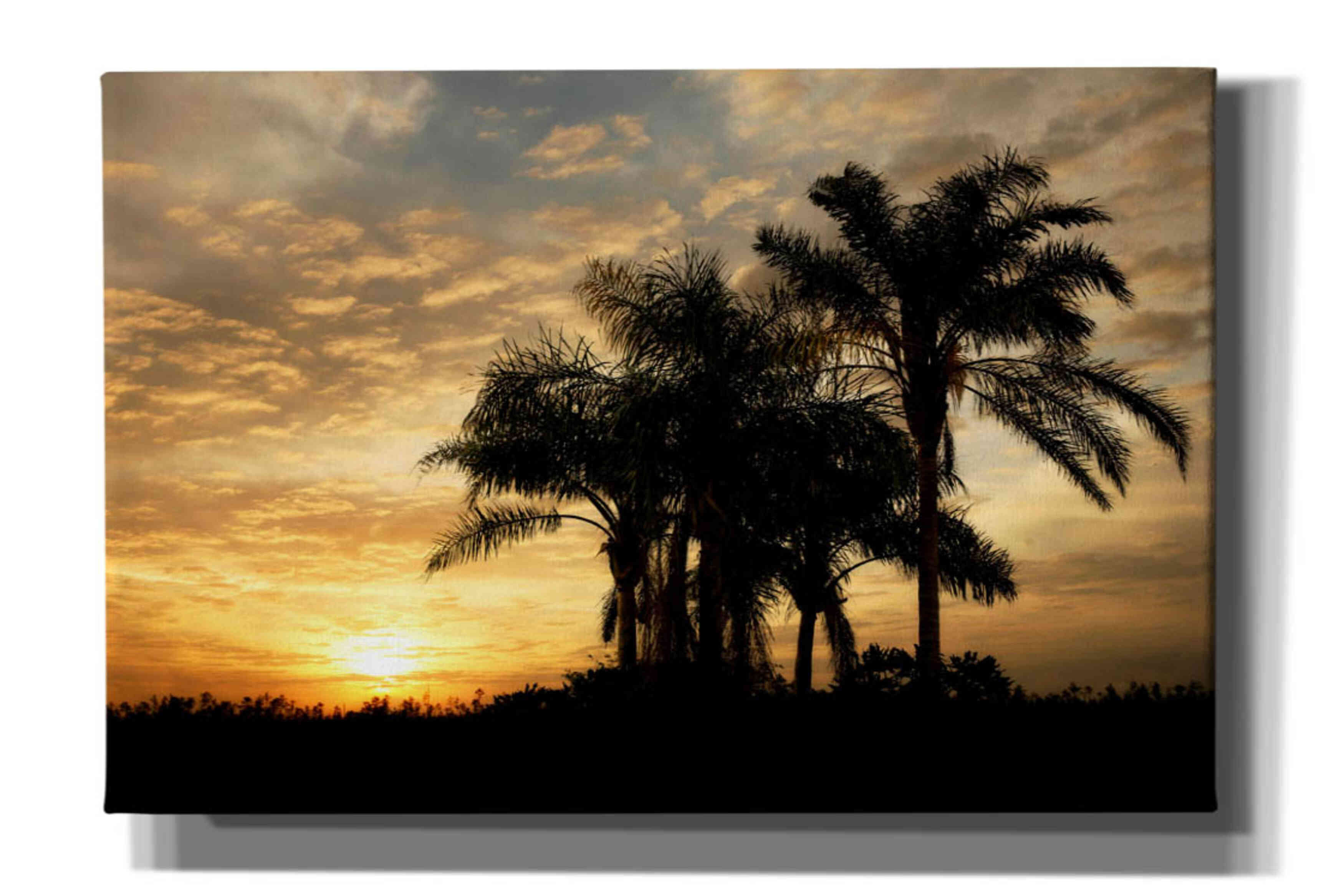 'Everglades Sunrise' by Mike Jones, Giclee Canvas Wall Art