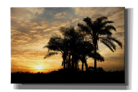 Image of 'Everglades Sunrise' by Mike Jones, Giclee Canvas Wall Art