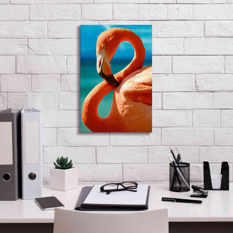 Image of 'Flamingo' by Mike Jones, Giclee Canvas Wall Art,12 x 18