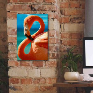 'Flamingo' by Mike Jones, Giclee Canvas Wall Art,12 x 18