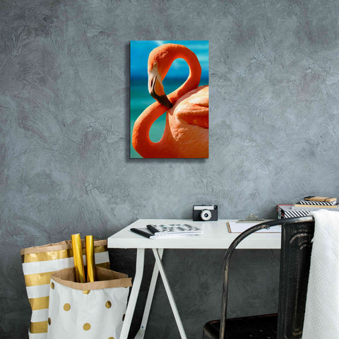 Image of 'Flamingo' by Mike Jones, Giclee Canvas Wall Art,12 x 18