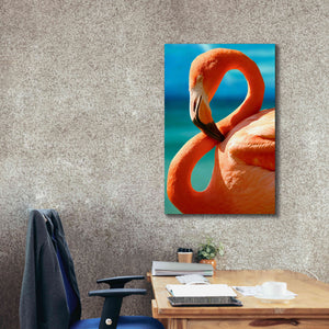 'Flamingo' by Mike Jones, Giclee Canvas Wall Art,26 x 40