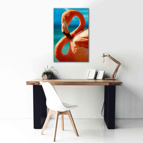 Image of 'Flamingo' by Mike Jones, Giclee Canvas Wall Art,26 x 40