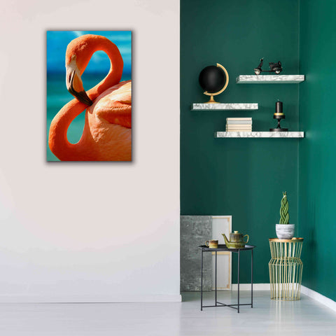 Image of 'Flamingo' by Mike Jones, Giclee Canvas Wall Art,26 x 40
