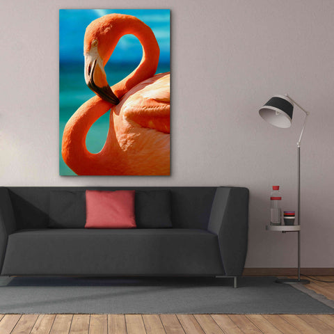 Image of 'Flamingo' by Mike Jones, Giclee Canvas Wall Art,40 x 60