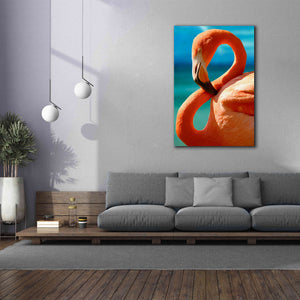 'Flamingo' by Mike Jones, Giclee Canvas Wall Art,40 x 60
