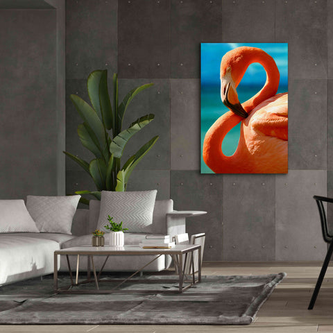 Image of 'Flamingo' by Mike Jones, Giclee Canvas Wall Art,40 x 60
