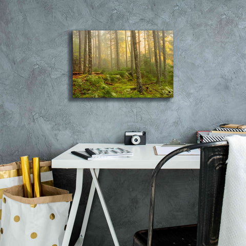 Image of 'Foggy Fire Woods' by Mike Jones, Giclee Canvas Wall Art,18 x 12