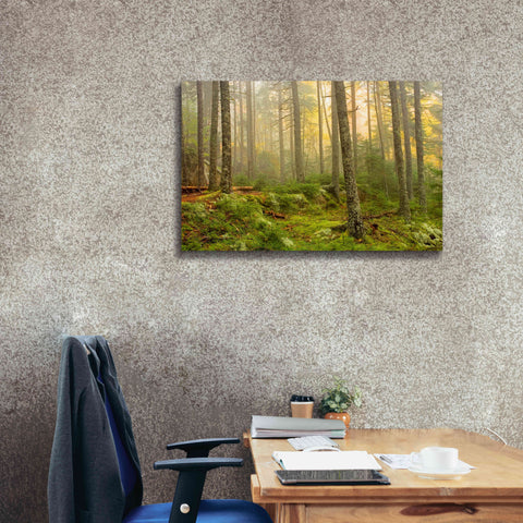 Image of 'Foggy Fire Woods' by Mike Jones, Giclee Canvas Wall Art,40 x 26
