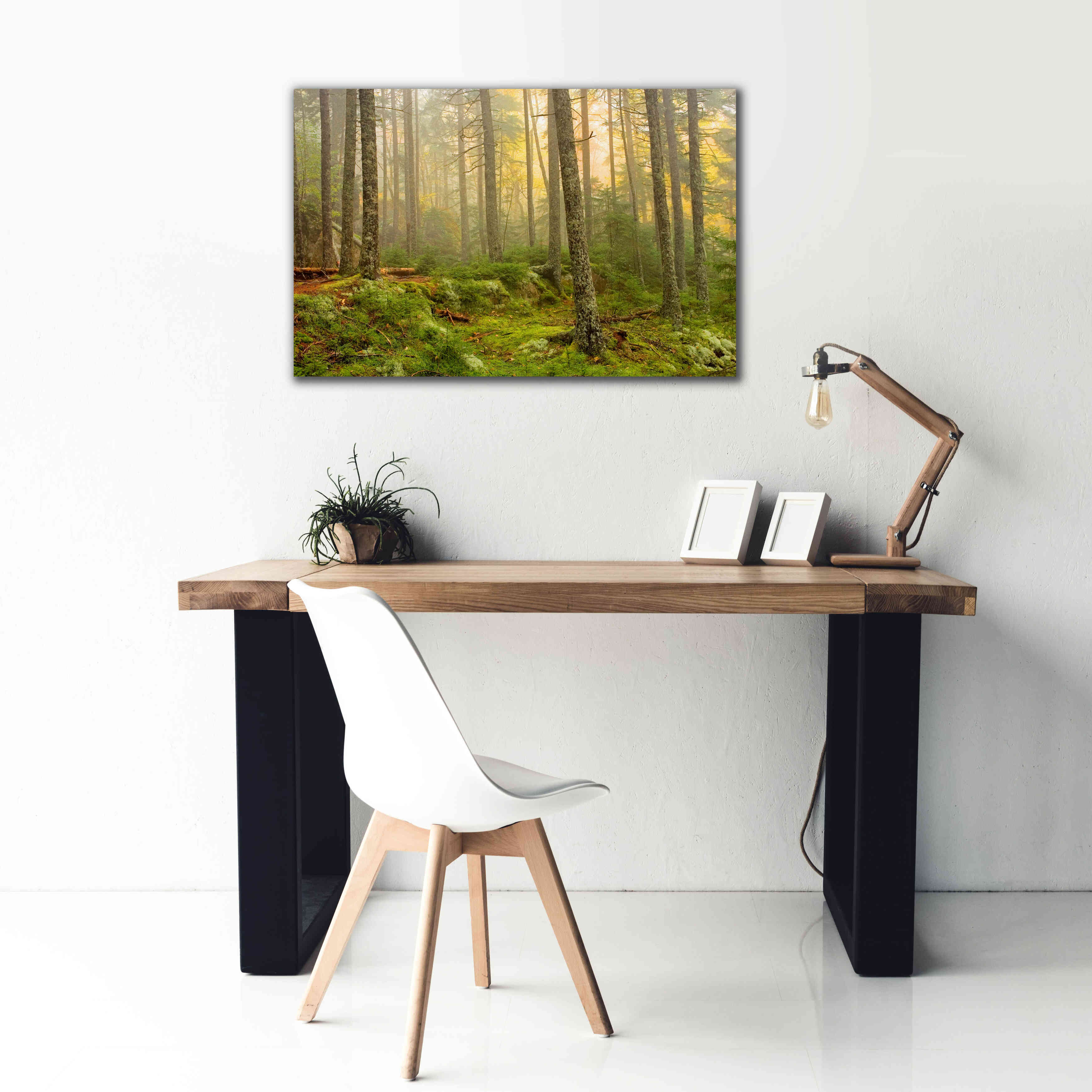'Foggy Fire Woods' by Mike Jones, Giclee Canvas Wall Art,40 x 26