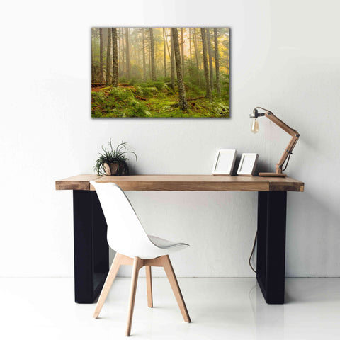 Image of 'Foggy Fire Woods' by Mike Jones, Giclee Canvas Wall Art,40 x 26