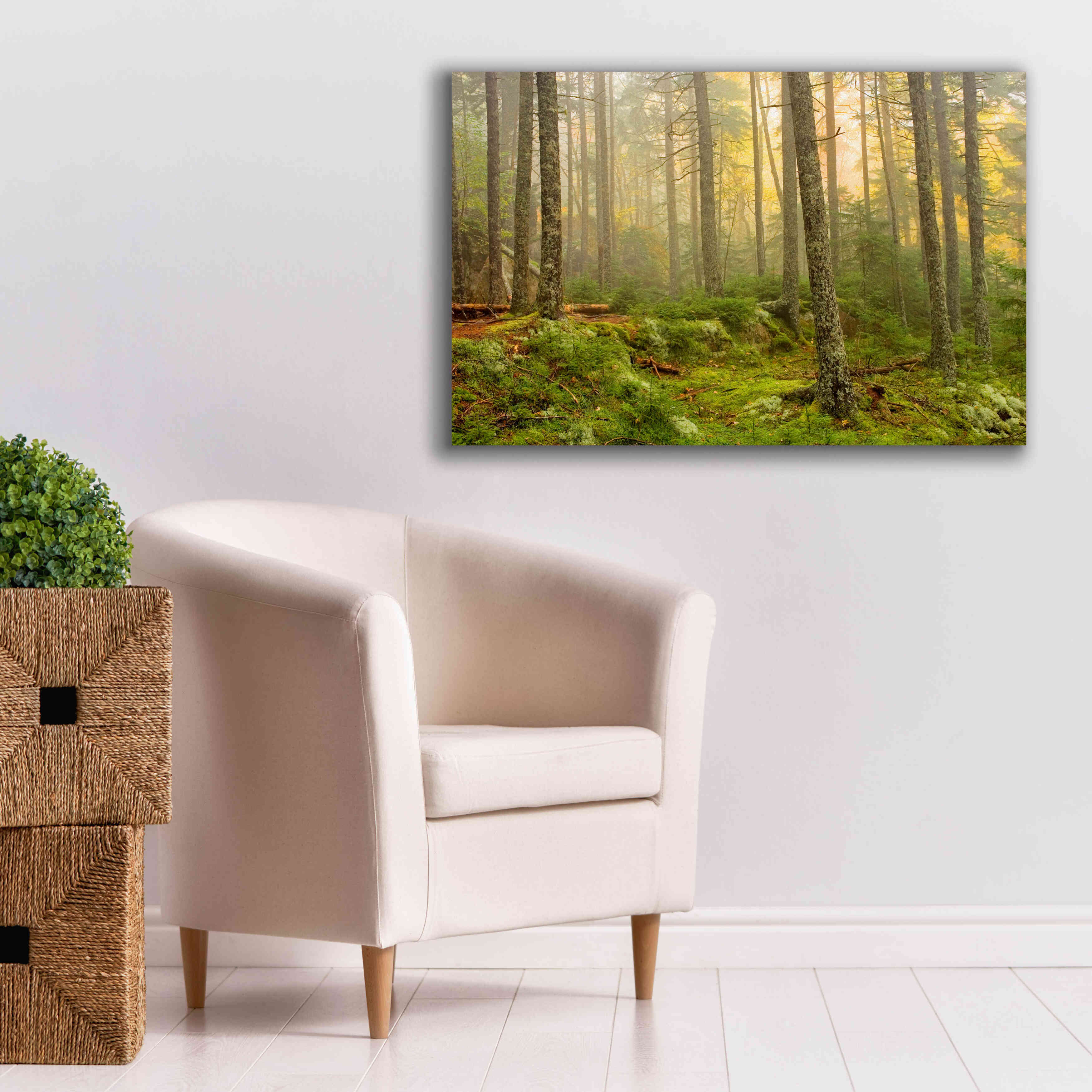 'Foggy Fire Woods' by Mike Jones, Giclee Canvas Wall Art,40 x 26