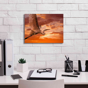 'Heron Sunset' by Mike Jones, Giclee Canvas Wall Art,16 x 12