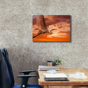 'Heron Sunset' by Mike Jones, Giclee Canvas Wall Art,26 x 18