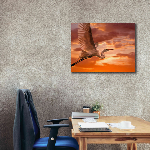 Image of 'Heron Sunset' by Mike Jones, Giclee Canvas Wall Art,34 x 26