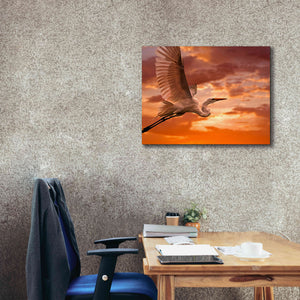 'Heron Sunset' by Mike Jones, Giclee Canvas Wall Art,34 x 26