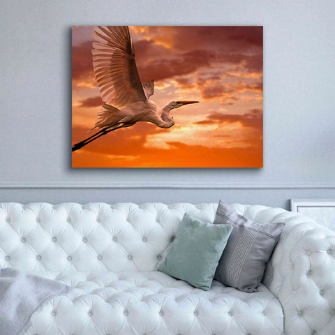 Image of 'Heron Sunset' by Mike Jones, Giclee Canvas Wall Art,54 x 40