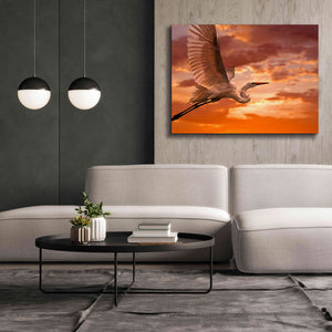 'Heron Sunset' by Mike Jones, Giclee Canvas Wall Art,54 x 40