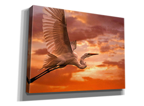 Image of 'Heron Sunset' by Mike Jones, Giclee Canvas Wall Art