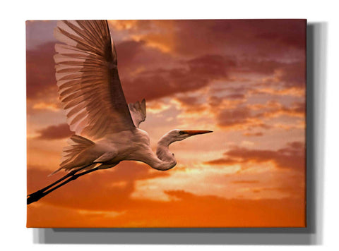 Image of 'Heron Sunset' by Mike Jones, Giclee Canvas Wall Art