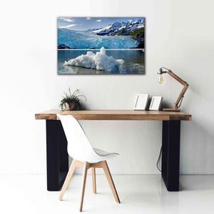 'Iceburg' by Mike Jones, Giclee Canvas Wall Art,40 x 26