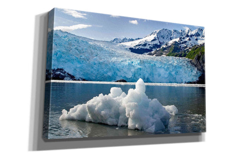 Image of 'Iceburg' by Mike Jones, Giclee Canvas Wall Art