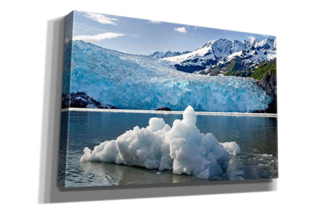 'Iceburg' by Mike Jones, Giclee Canvas Wall Art