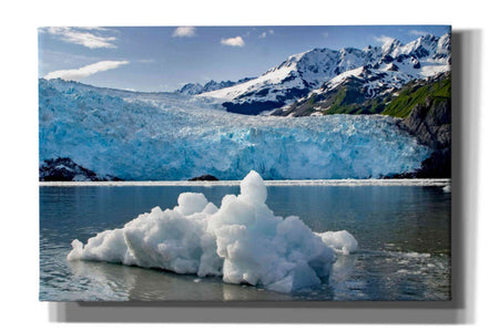 'Iceburg' by Mike Jones, Giclee Canvas Wall Art