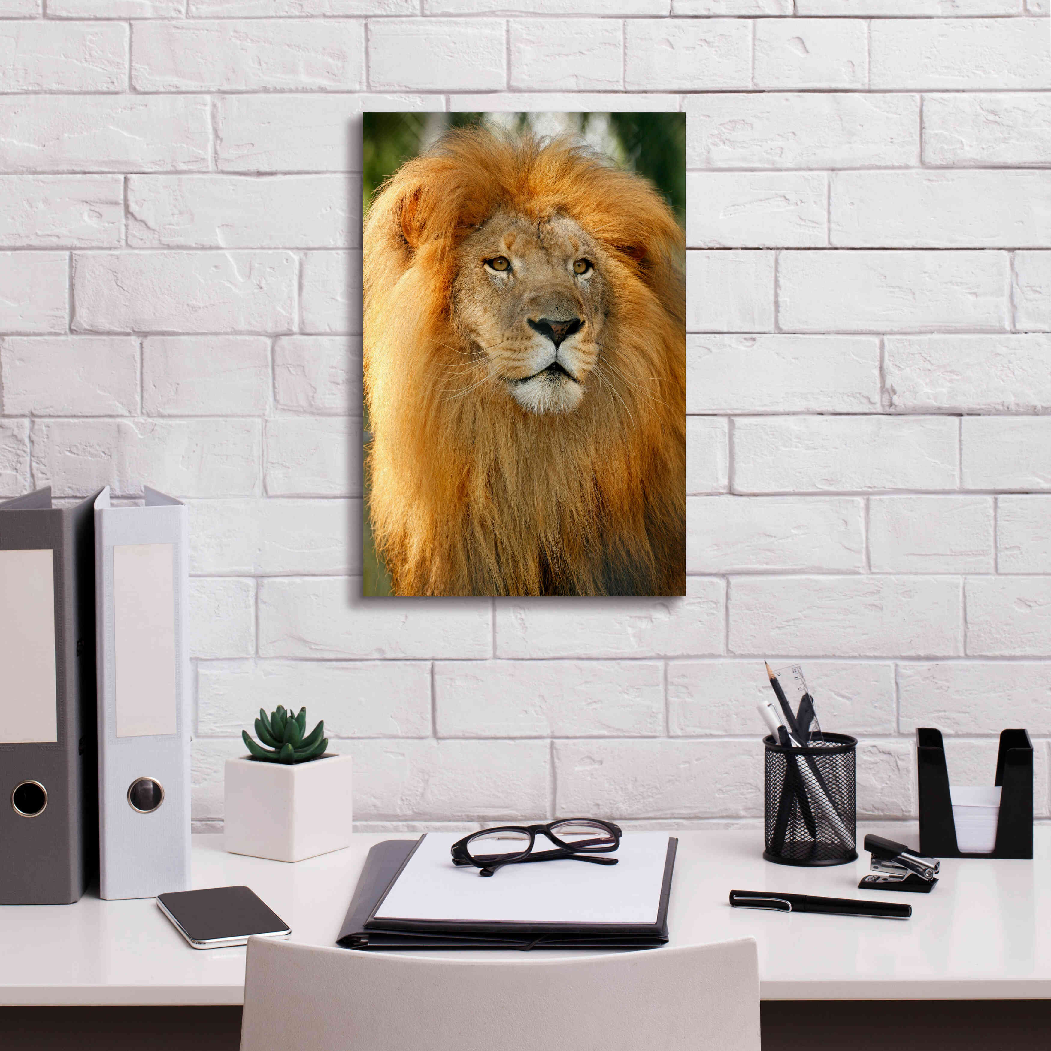 'Lion' by Mike Jones, Giclee Canvas Wall Art,12 x 18