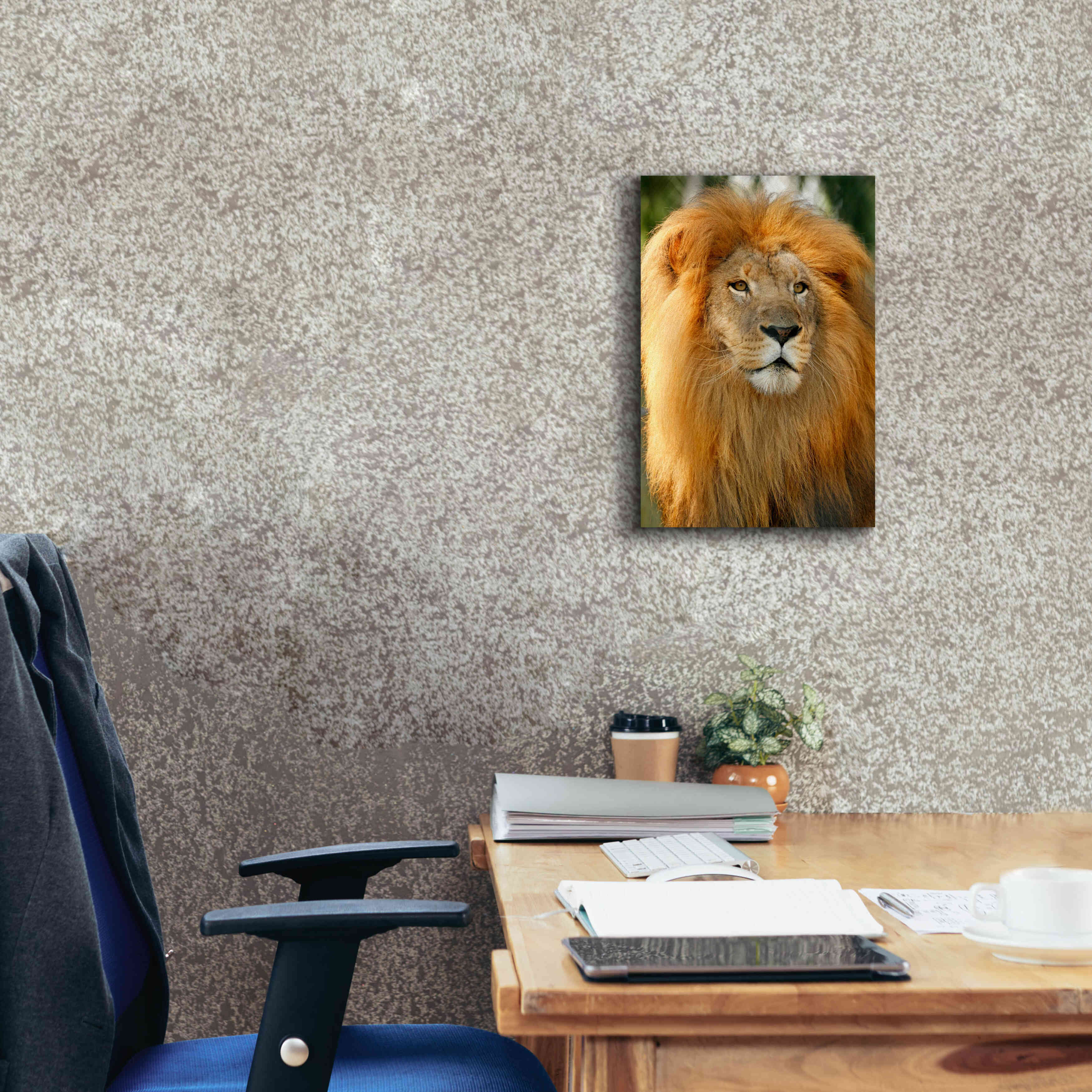 'Lion' by Mike Jones, Giclee Canvas Wall Art,12 x 18