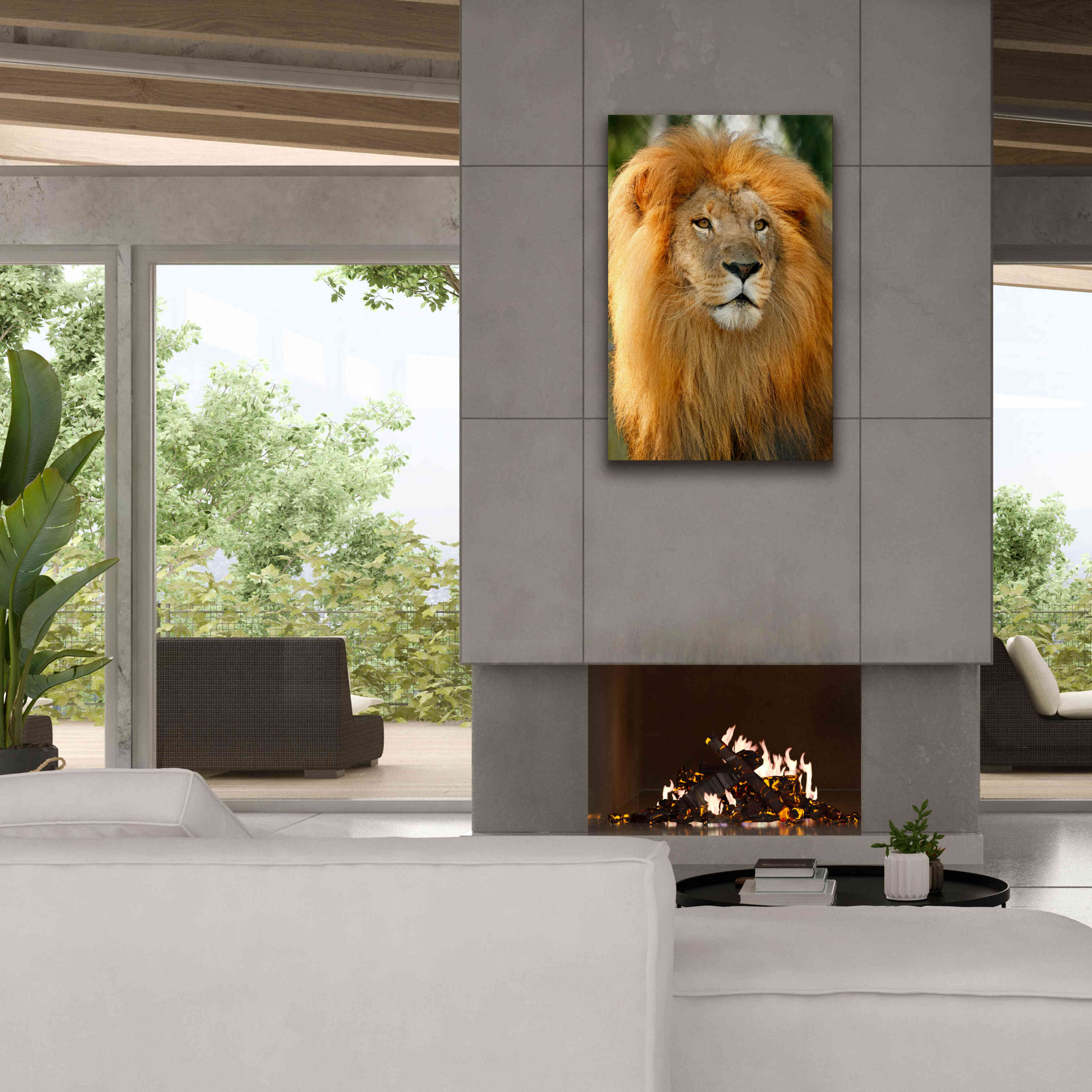 'Lion' by Mike Jones, Giclee Canvas Wall Art,26 x 40