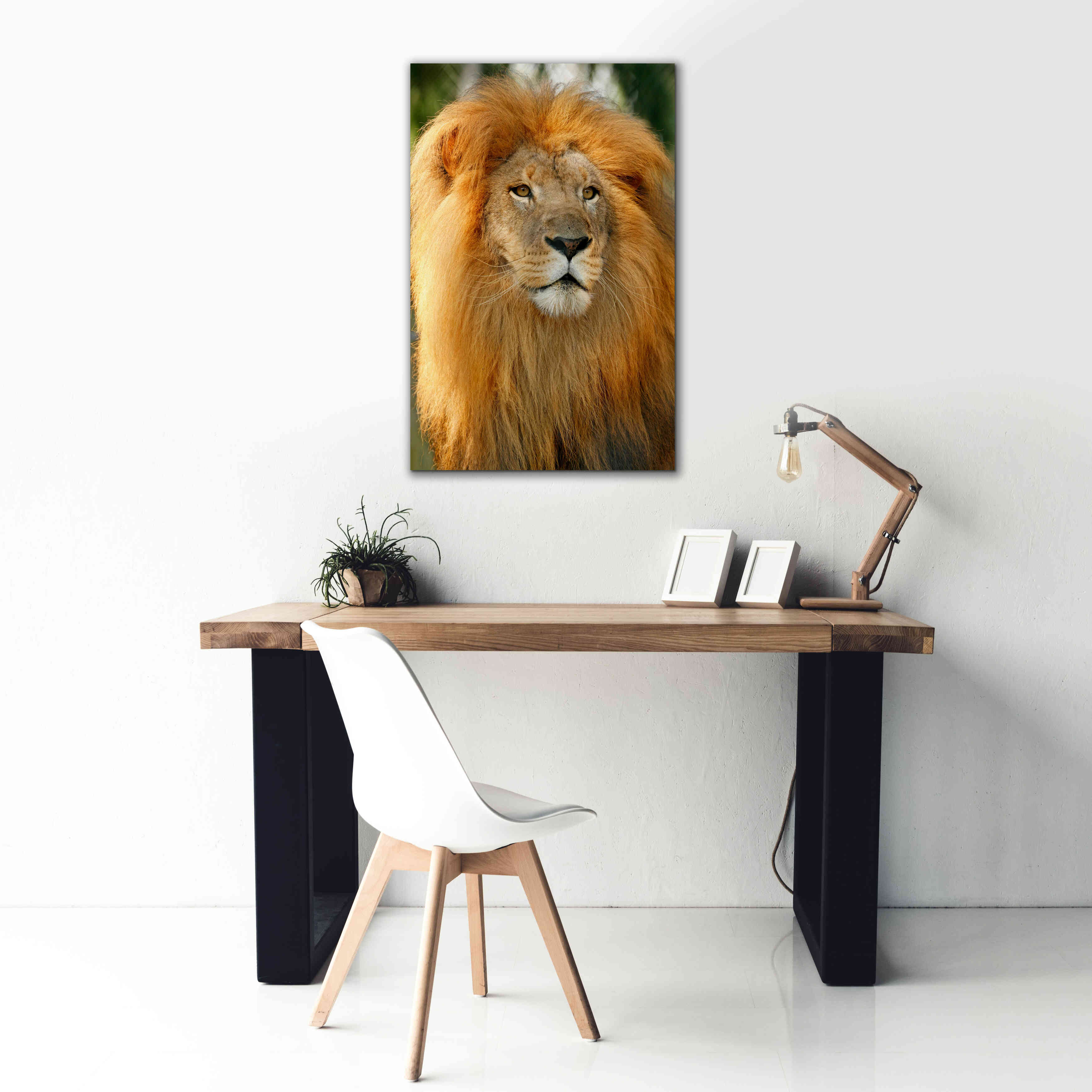 'Lion' by Mike Jones, Giclee Canvas Wall Art,26 x 40