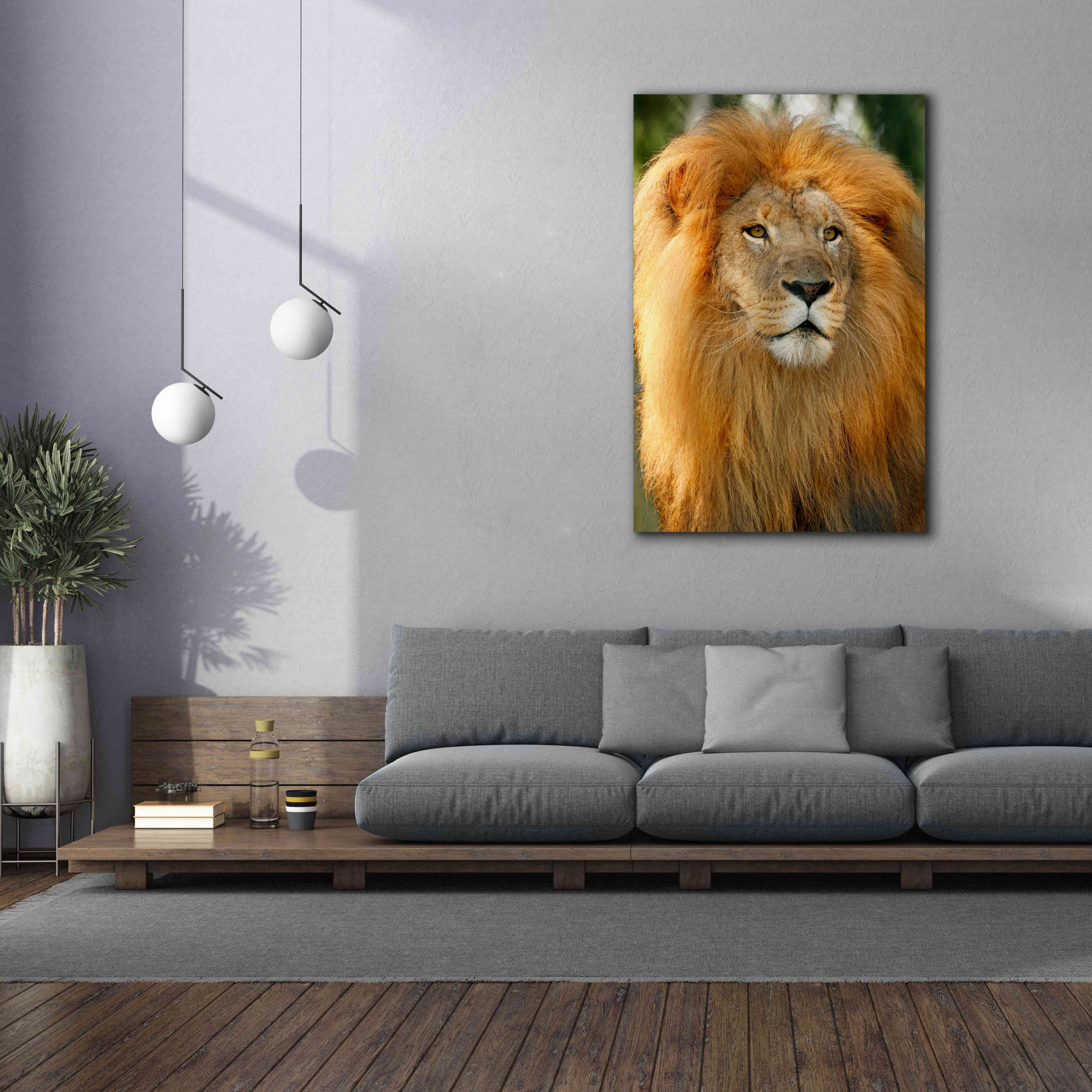 'Lion' by Mike Jones, Giclee Canvas Wall Art,40 x 60