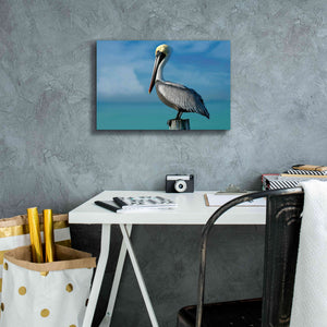 'Pelican' by Mike Jones, Giclee Canvas Wall Art,18 x 12