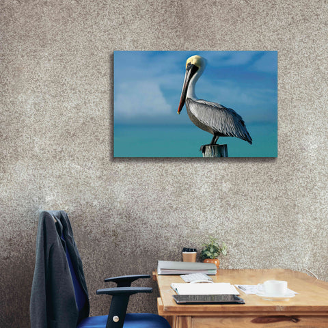 Image of 'Pelican' by Mike Jones, Giclee Canvas Wall Art,40 x 26