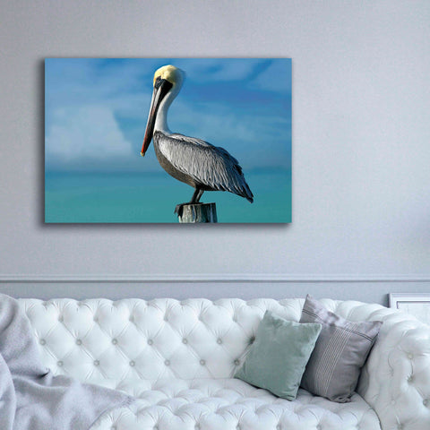 Image of 'Pelican' by Mike Jones, Giclee Canvas Wall Art,60 x 40