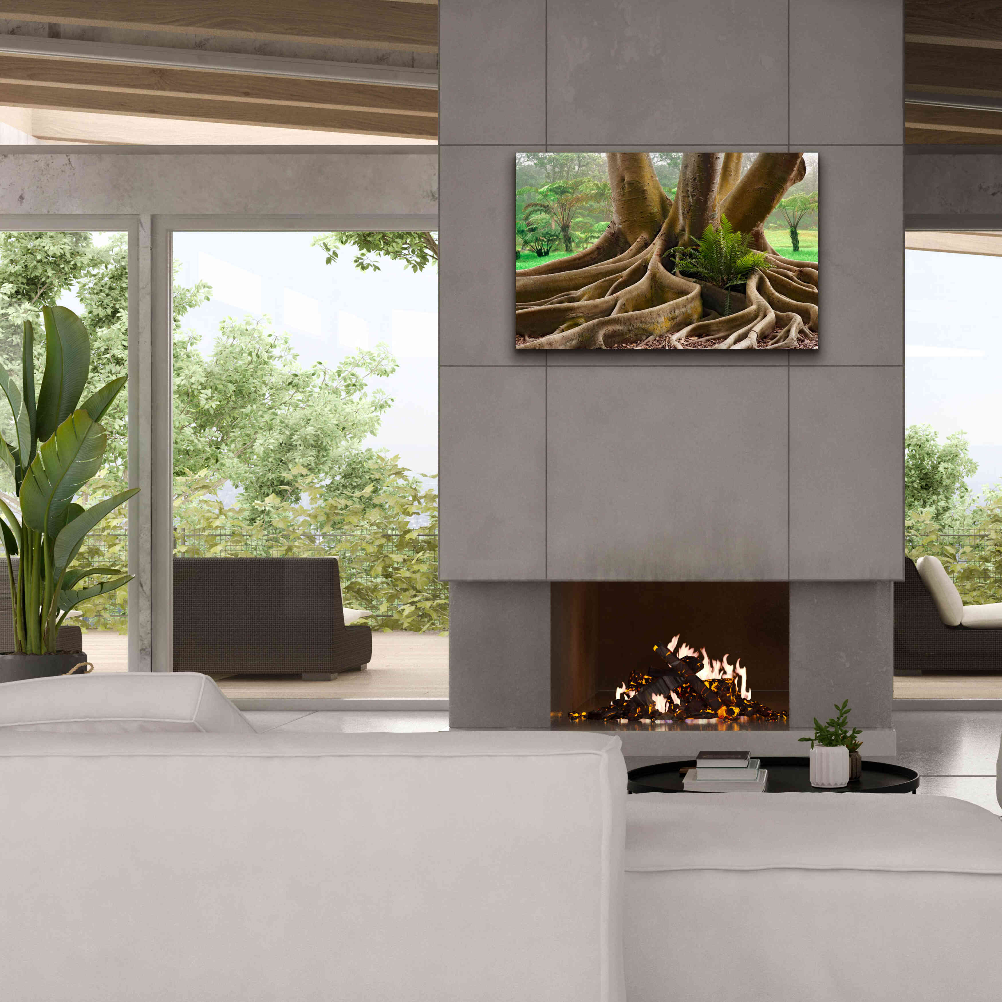 'Roots Sarasots Big Tree' by Mike Jones, Giclee Canvas Wall Art,40 x 26