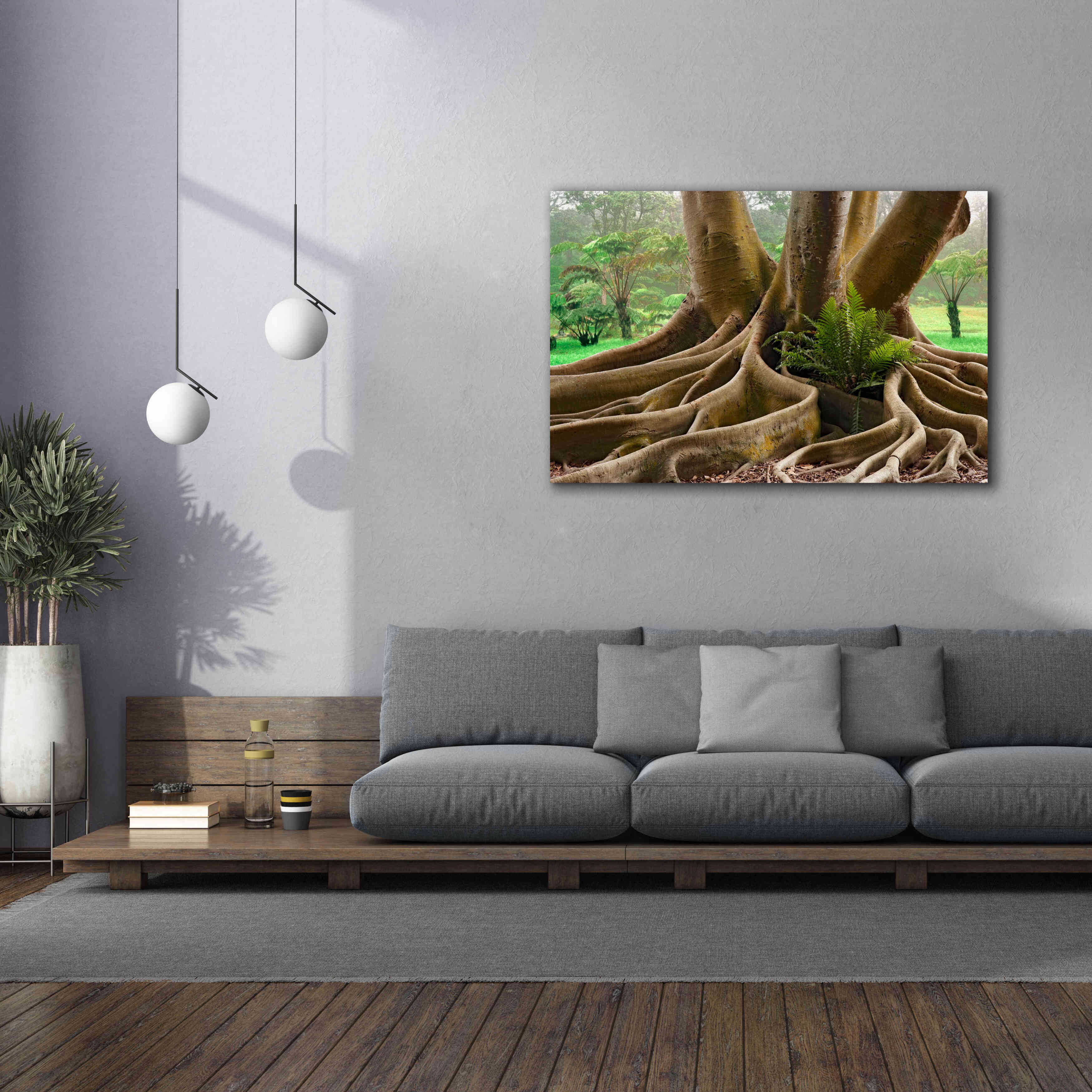 'Roots Sarasots Big Tree' by Mike Jones, Giclee Canvas Wall Art,60 x 40