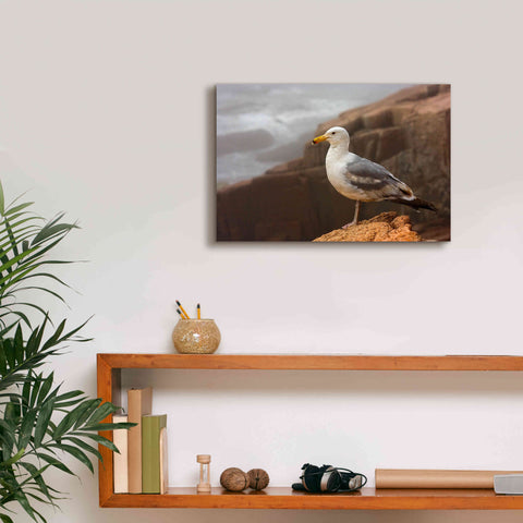Image of 'Seagull' by Mike Jones, Giclee Canvas Wall Art,18 x 12