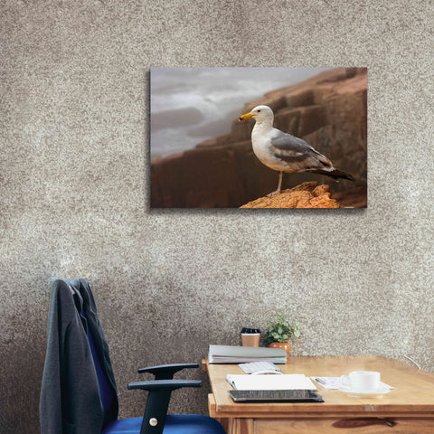 Image of 'Seagull' by Mike Jones, Giclee Canvas Wall Art,40 x 26
