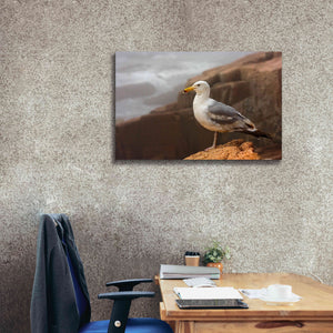 'Seagull' by Mike Jones, Giclee Canvas Wall Art,40 x 26