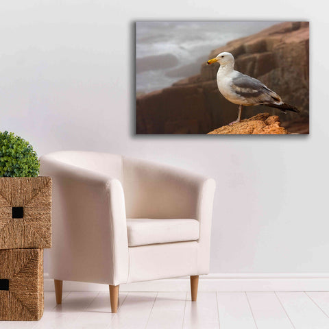 Image of 'Seagull' by Mike Jones, Giclee Canvas Wall Art,40 x 26