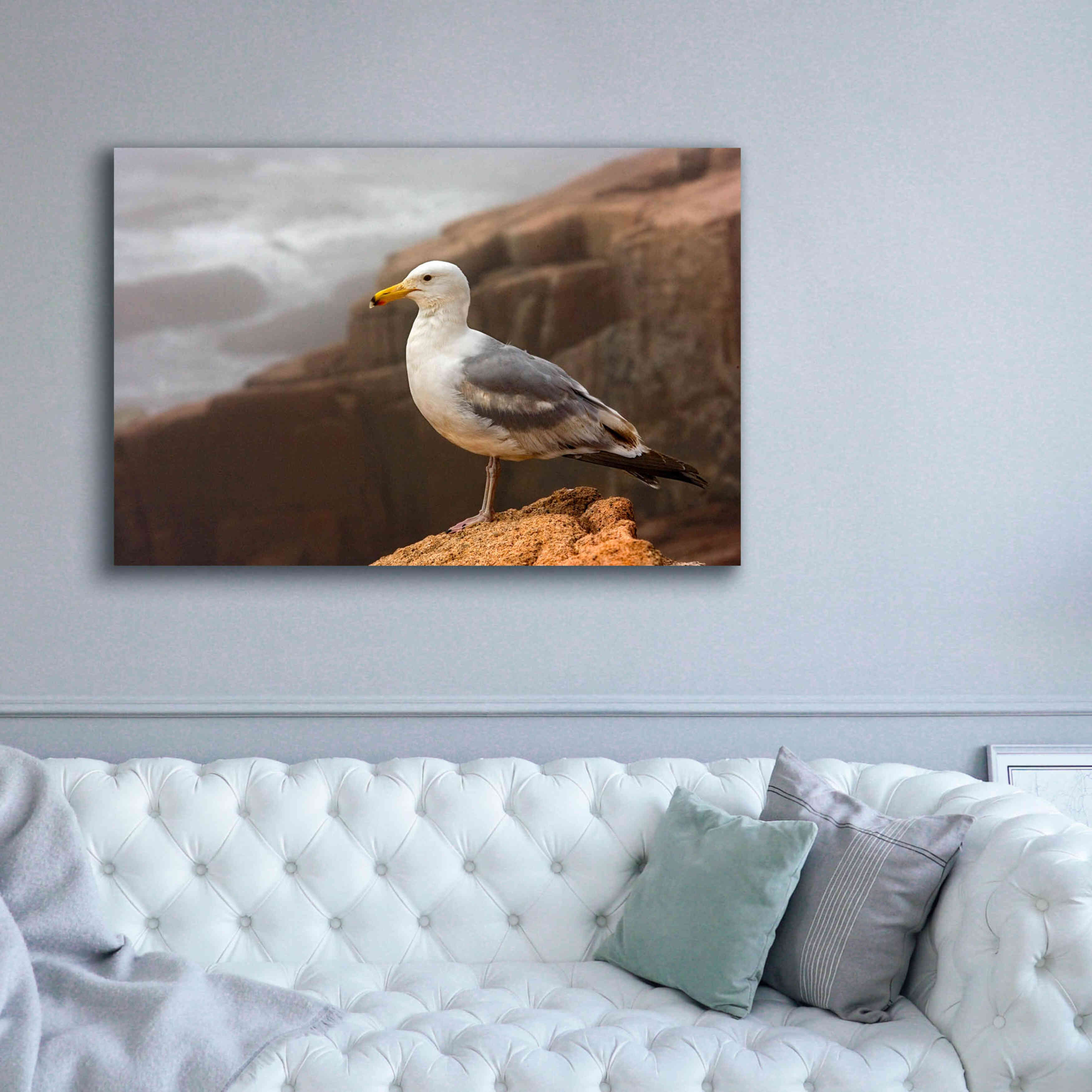 'Seagull' by Mike Jones, Giclee Canvas Wall Art,60 x 40