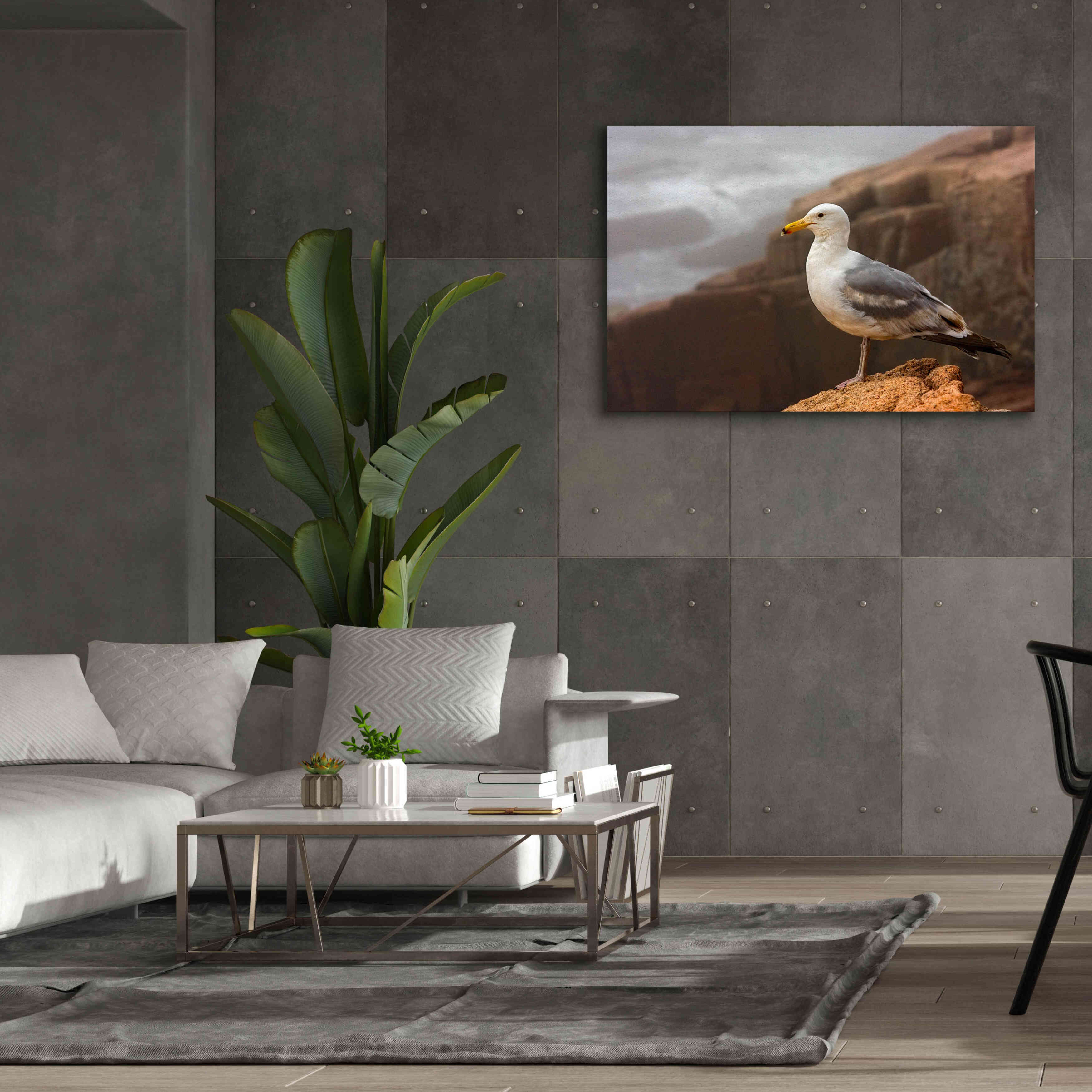 'Seagull' by Mike Jones, Giclee Canvas Wall Art,60 x 40