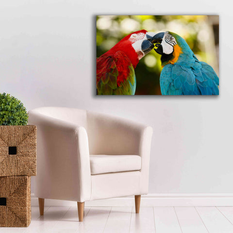 Image of 'The Kiss' by Mike Jones, Giclee Canvas Wall Art,40 x 26