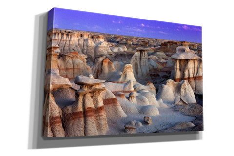Image of 'Bisti Badlands' by Mike Jones, Giclee Canvas Wall Art