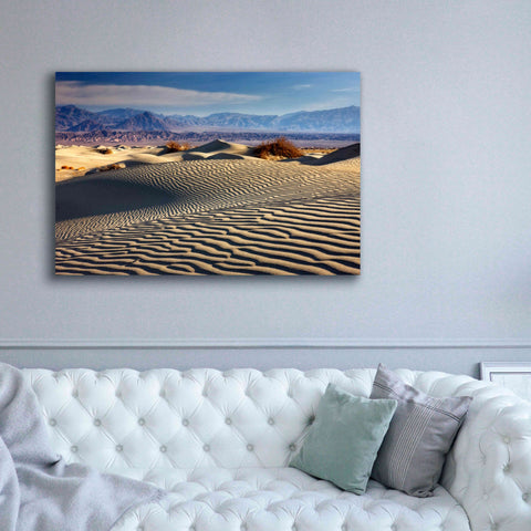 Image of 'Death Valley Mesquite Dunes' by Mike Jones, Giclee Canvas Wall Art,60 x 40